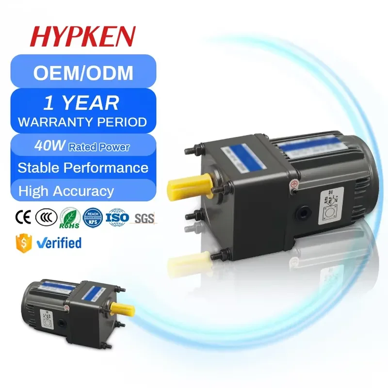 High Torque Single Phase Variable Speed Motor 6W 15W 20W 25W 30W 40W AC Gear Motor