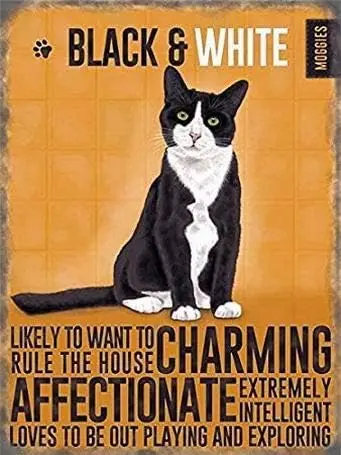 Plaque Black & White Cat Kitten Gift Retro Vintage 8x12 Tin Metal Sign Wall Decor Home Decor