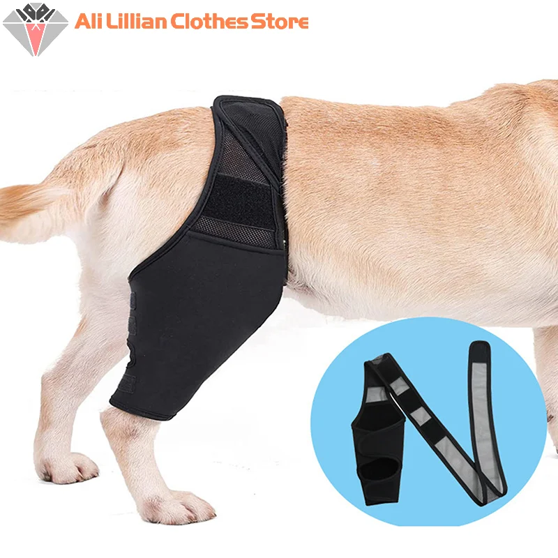 Dog Knee Pads Injury Recovery Fixed Support Brace Pet Protector Pain Relief Feet Cover Leg Joint Wrap Support Pet Recover