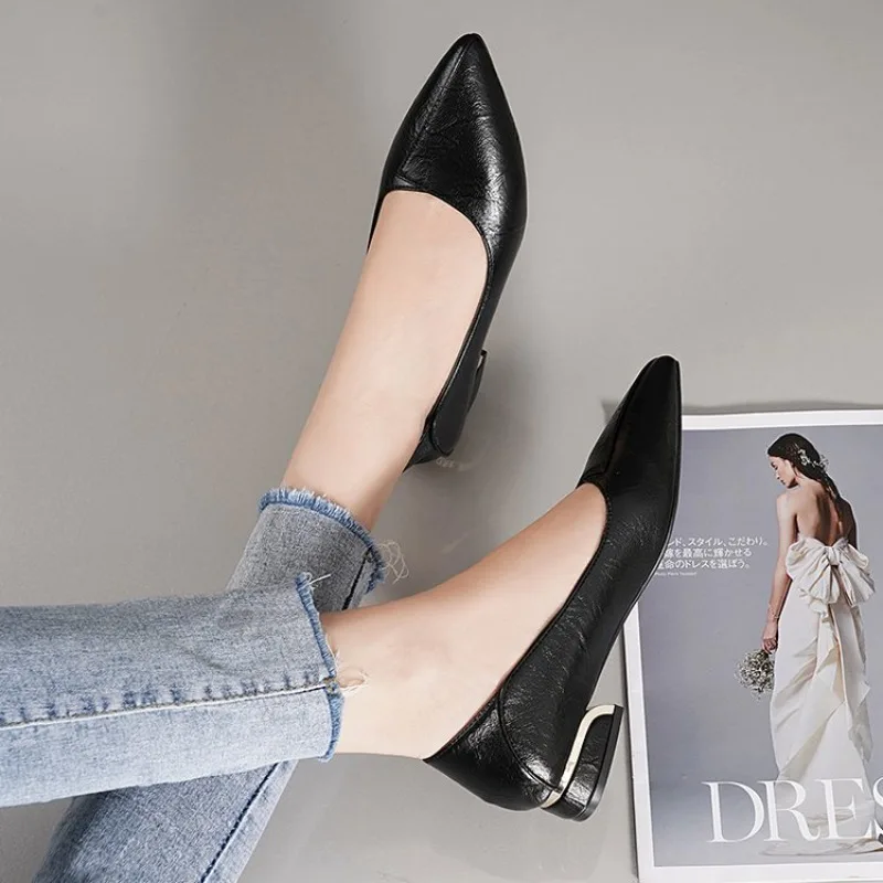 2026 Frühling und Herbst Neue Spitze Pumps für Damen mit Dickem Absatz und Flachem Schaft Professionelle Allround-Damenschuhe – Detail 6