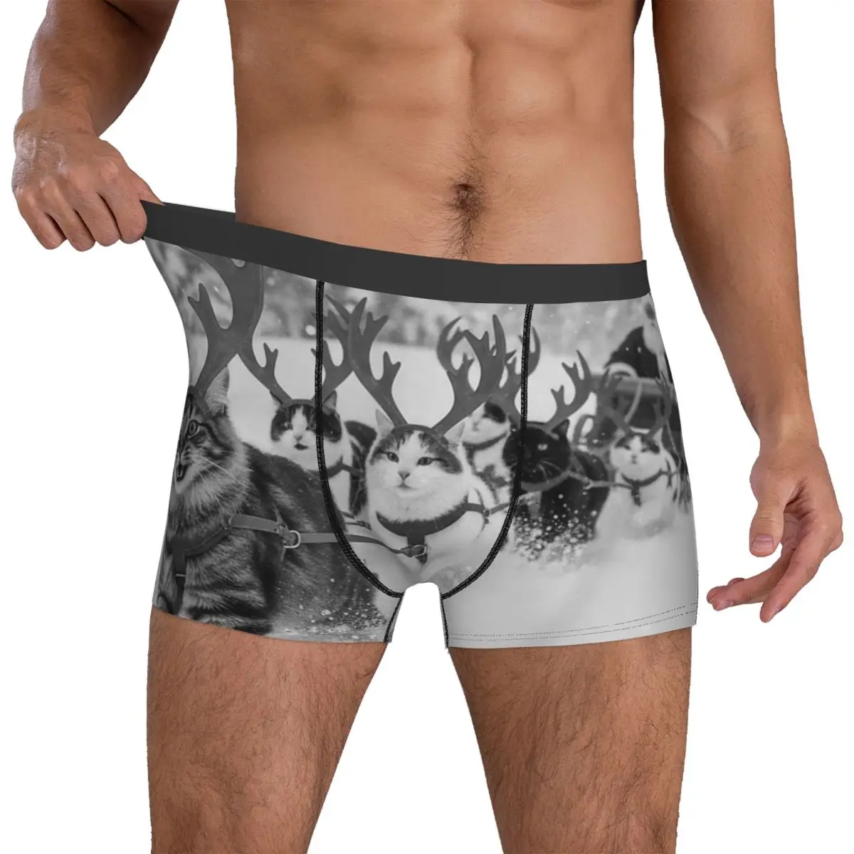 

Funny Christmas Santa Sleigh Cats Reindeer Selfie Underwear Men Panties Custom DIY Funny Trunk Trenky Shorts Briefs Big Size 2XL
