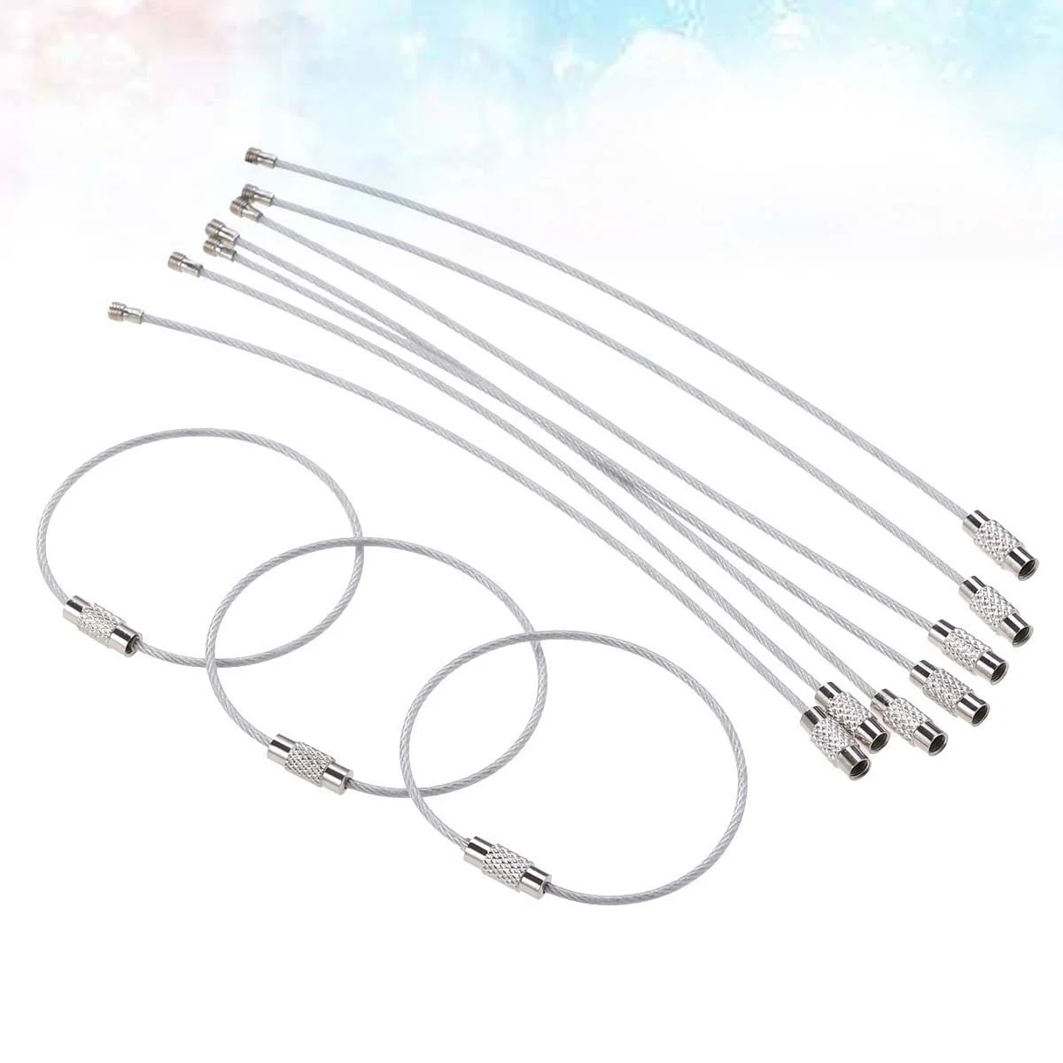 

10 Pcs Wire Keychains Cable Ring Loop Tag Keepers Luggage Tags Loops The Labels