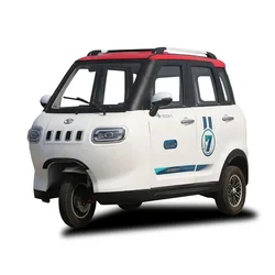 Fully Enclosed Human Powered Tricycle Adult Electric Tricycle