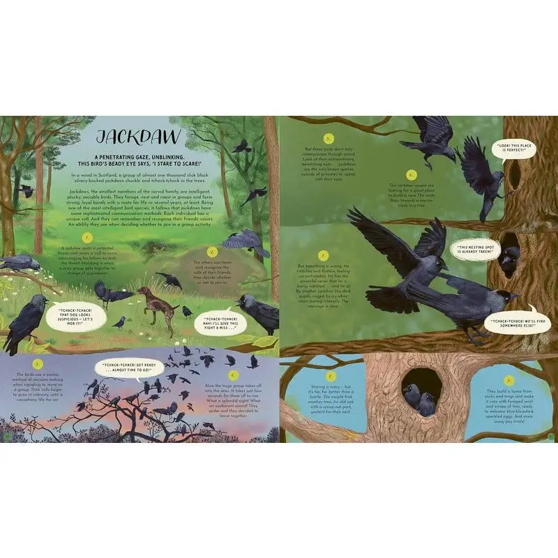 اللغات البرية من طبيعة الأم 48 قصة عن كيف تتواصل الطبيعة 48 قصة عن كيف تتواصل الطبيعة 9780711288478