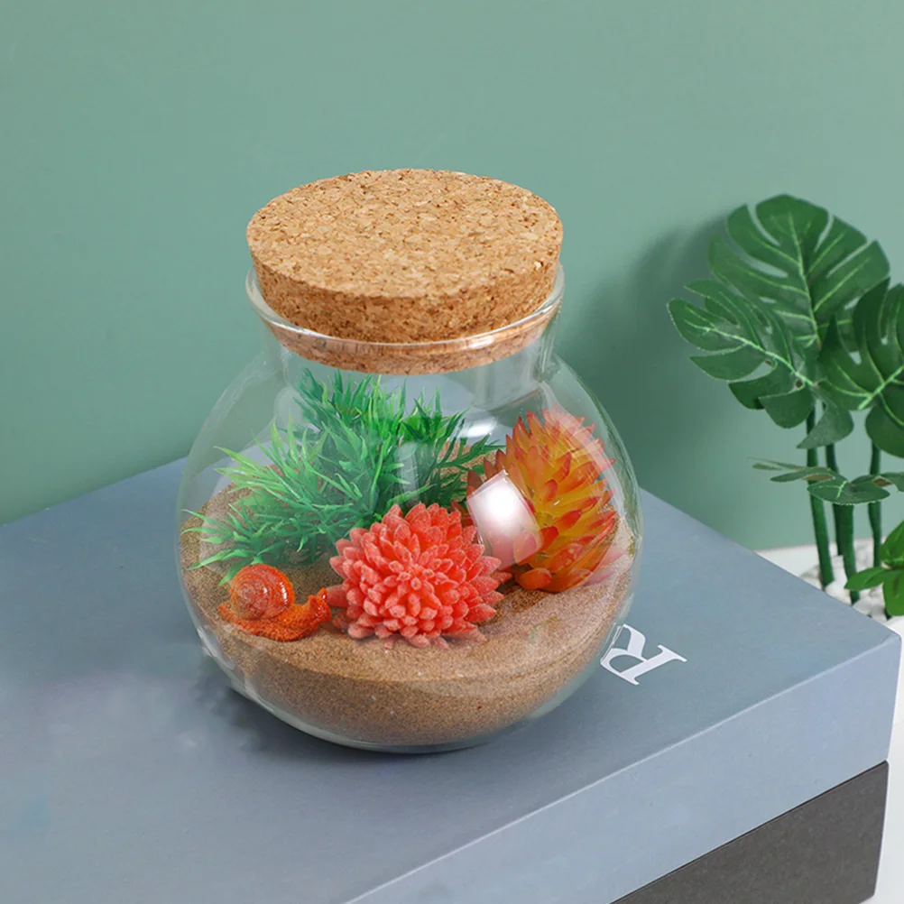 

3 Pcs Eco Bottle Microlandscape Glass Jar with Lids Plant DIY Micro-landscape Decoration