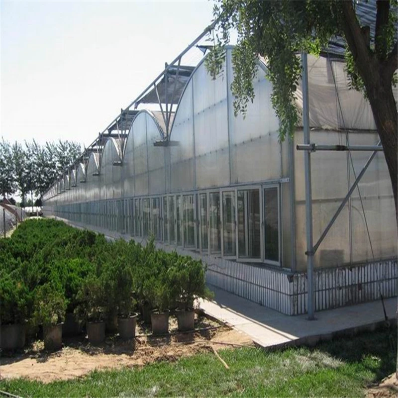 

Customized greenhouseHigh Efficiency Hydroponic Greenhouse with PC Sheet & Steel Frame - Custom Sizes for Commercial Using