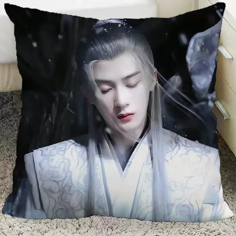 Tan Jianci Poster Double-sided Printed Pillowcase TV Lost You Forever Xiang Liu Fang Fengbei Photos Home Car Decor Cushion Cover