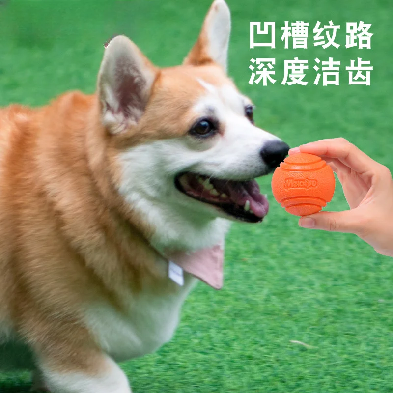 1PC Pet Dog Ball Bouncy Rubber Solid Ball Resistance To Dog Chew Toys Outdoor Throwing Recovery Training for Dogs Pet Supplies