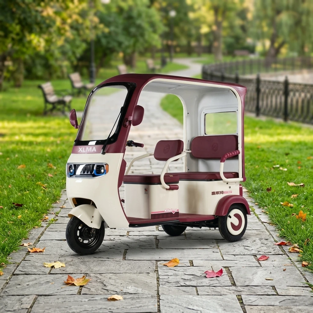 Electric Tricycle Closed Body 3-Passenger Heavy-Duty Long-Range 30-50Km/h 3-Speed 1000W Brushless Motor Carbon Steel Frame