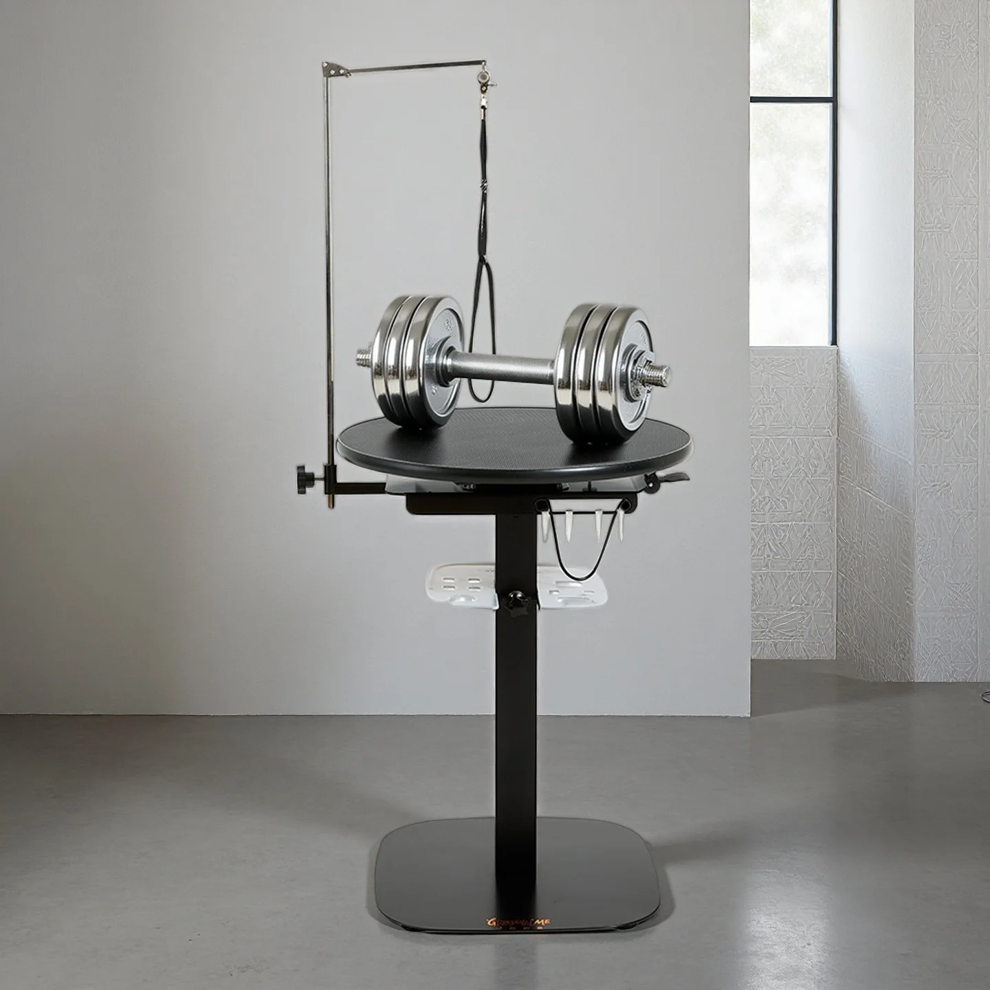 Vertical Pneumatic Height-Adjustable Grooming Table Pet  Equipment Pet  Table Station