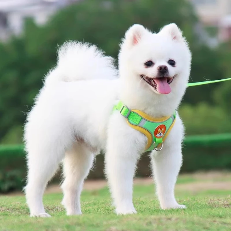 

Ventilate Vest Type Dog Leash Pet Chest Strap Reflective Design Puppy Walking Leash Safety Protection Dog Neck Ring Collars