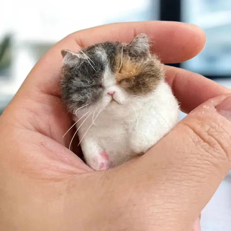 

DIY Wool Sheep Handpoke Cat Kit, Beginners Needle Felting Material Bag, Handcrafted Animal Gifts