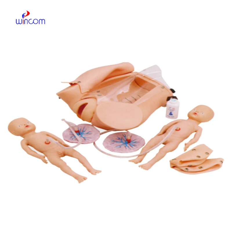 Medical Science Professional Delivery Childbirth Mechanism Teaching Model Medical Students Education Equipment