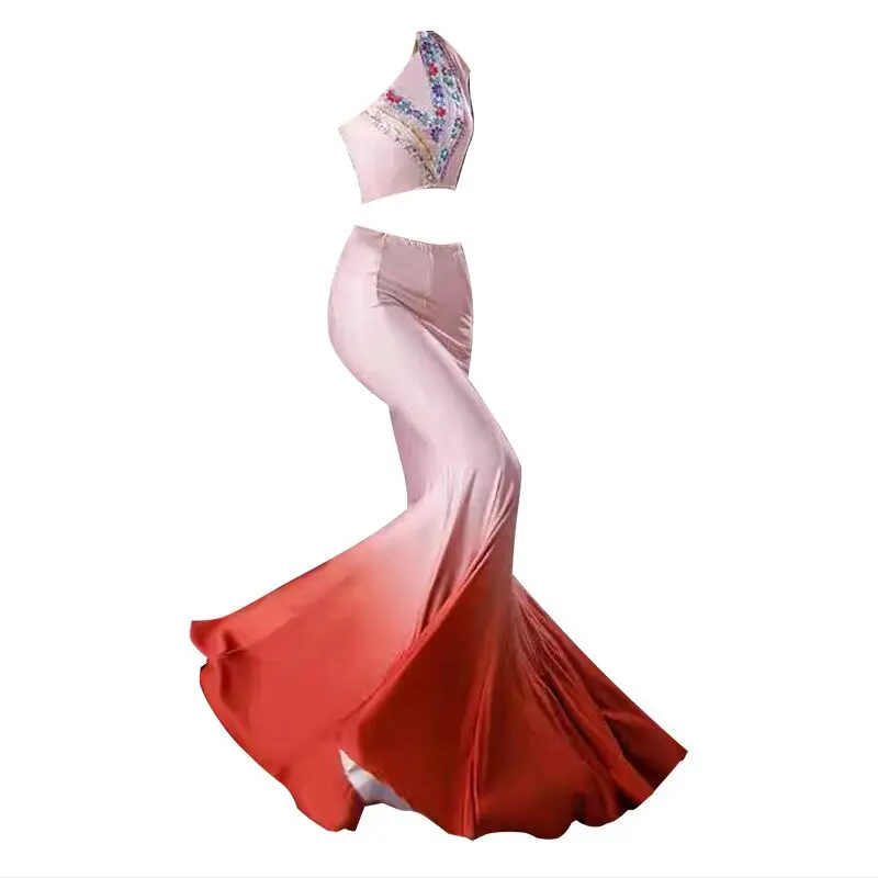 Ethnic Dai Dance Performance Costumes Practice Skirts Female Minority Peacock Dance Wear Traditional Folk Belly National Dance