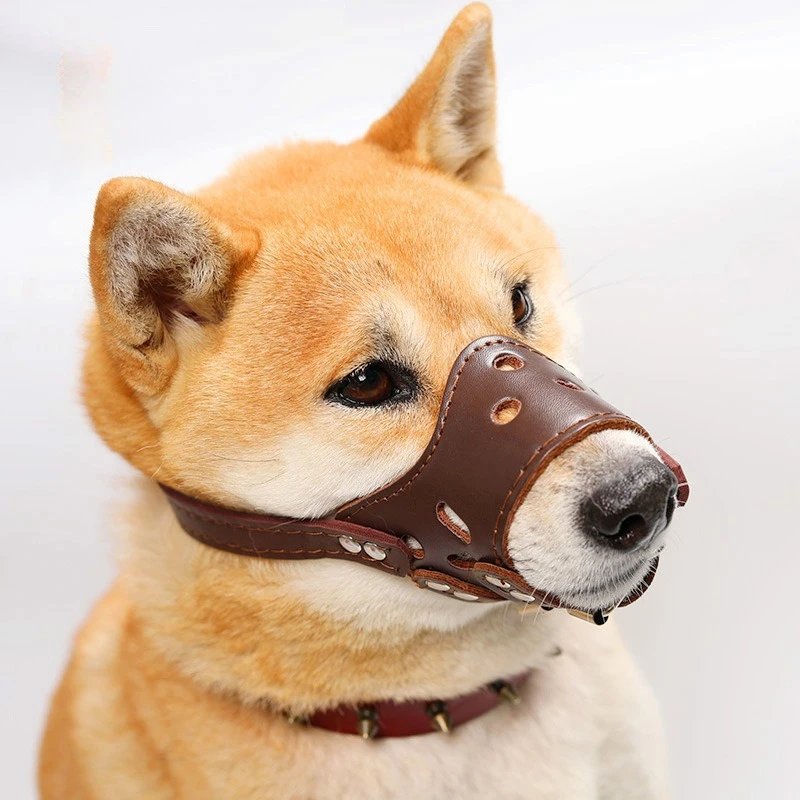 Dog Mouth Cover Anti-barking Anti-biting Anti-eating Puppy Medium and Large Dog Small Dog Dog Mask Teddy Golden Retractor