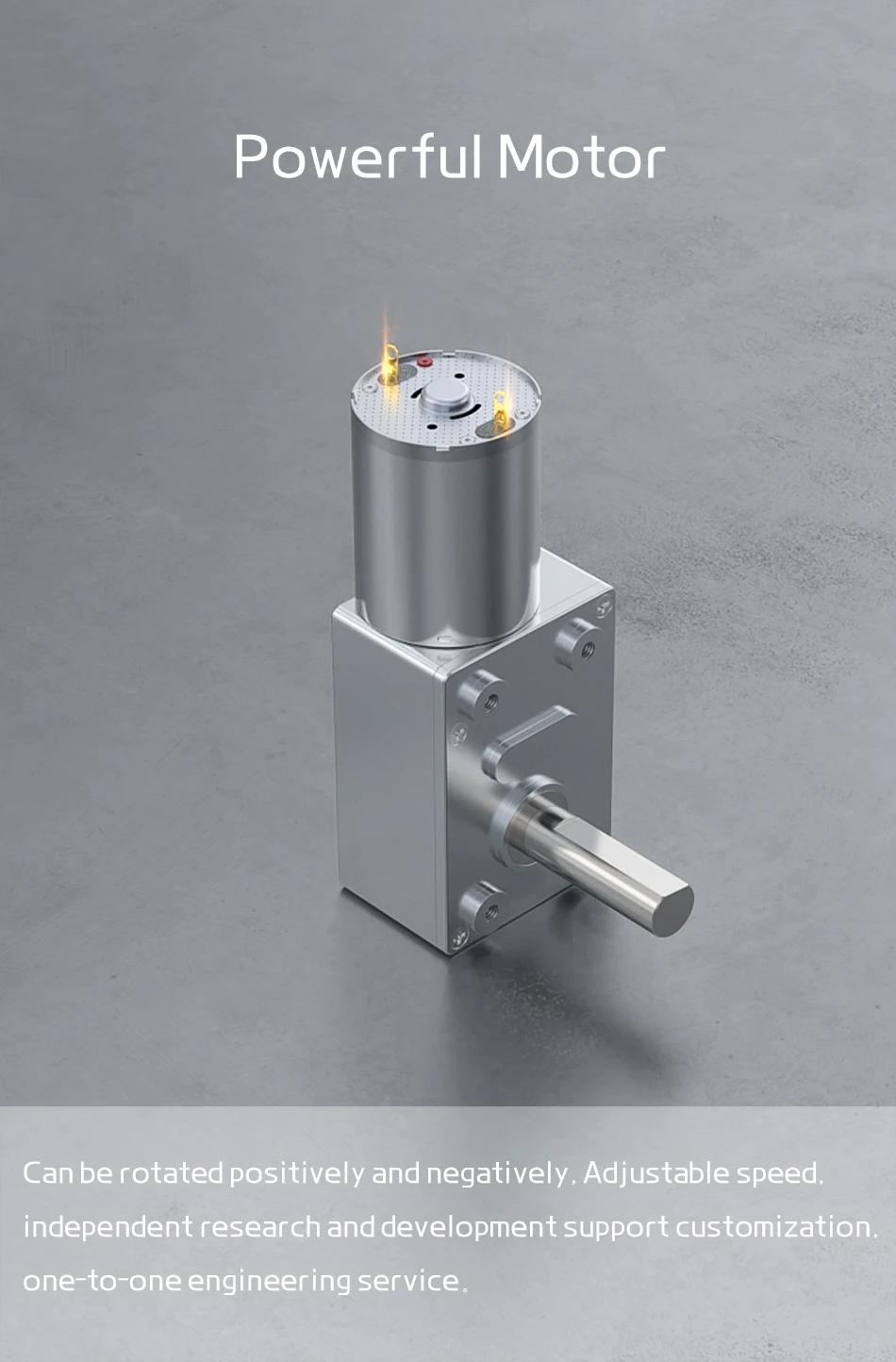 JGY370 Schneckengetriebemotor DC 12V 8MM D7 Achsengetriebe 6V 24V Selbsthemmendes Rückwärtsgetriebe Länge 25MM Niedrigdrehzahl-Mikromotor – Detail 12