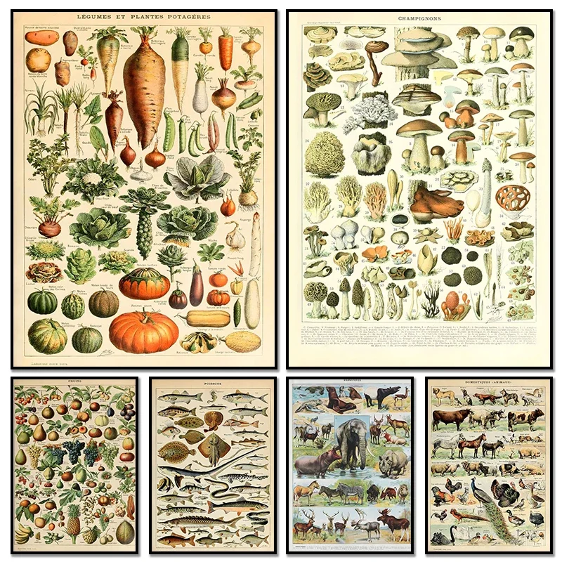 Vintage Palaeobios Botanical Retro Poster Insect Butterfly Mushrooms Canvas Painting Wall Art Prints  Picture Room Home Decor
