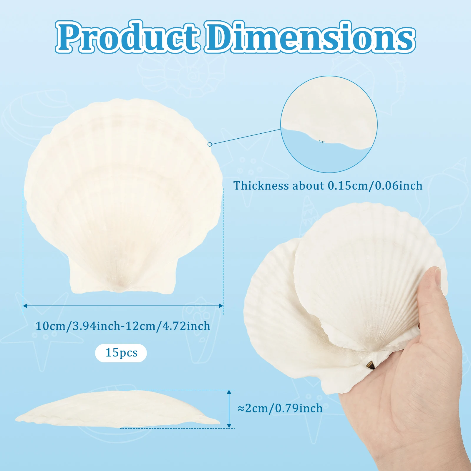 قذائف التقوقع الأبيض الطبيعي DIY بها بنفسك الحرف الخبز ديكور الشاطئ حفلات الزفاف رسمت باليد الكتابة على الجدران ملصقات جدار الحرف الديكور