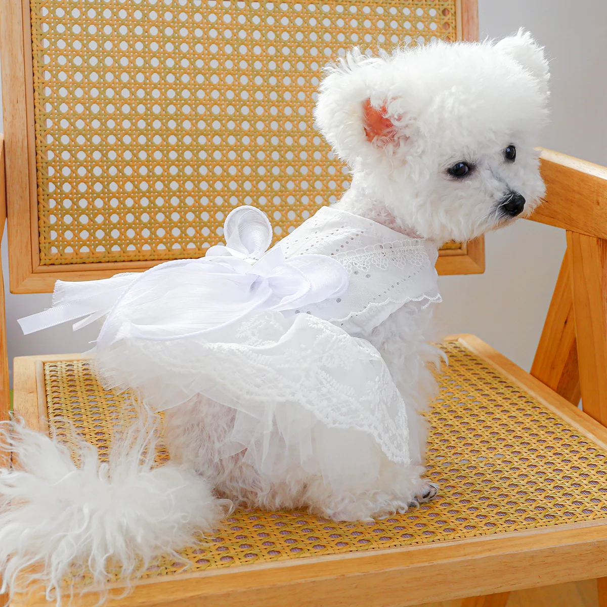 1PC Pet Clothing Cat and Dog Spring/Summer Thin White Wedding Princess Dress Suitable for Small and Medium sized Dogs