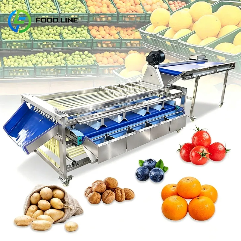 Fruit Sorting Equipment Size Grader Produce Sorter for Apple Pear Citrus Mango Peach Plum Cherry Customized