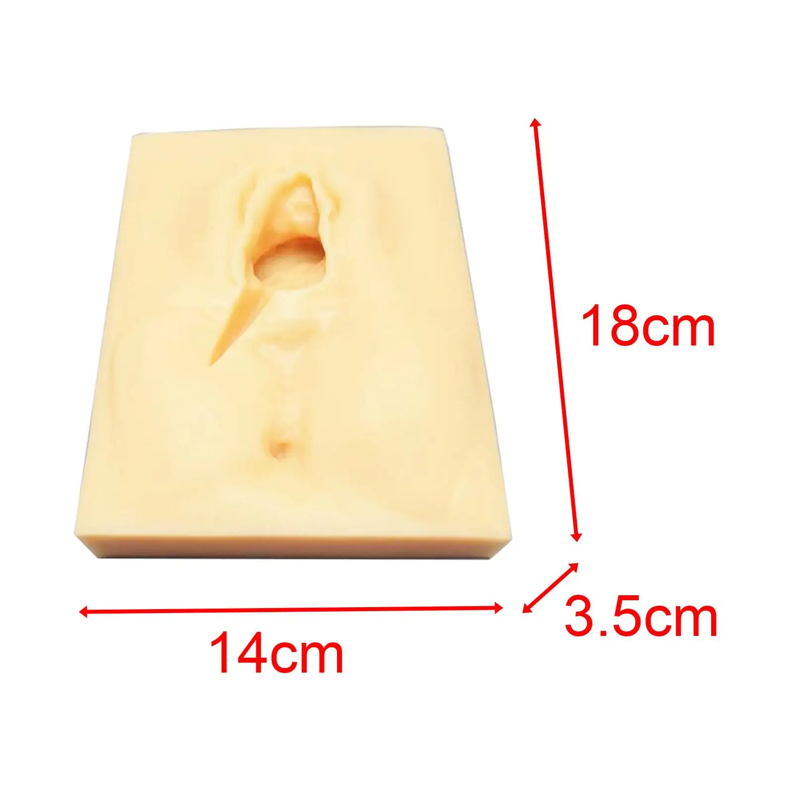 Perineal Practice Suturing Simulator Fittings Accessories Silicon Professional