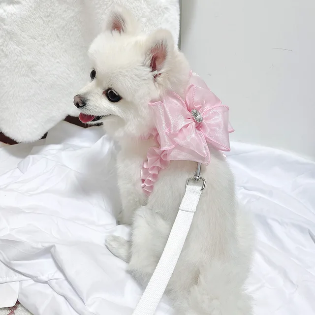 Koreańskie różowe kotki na smyczy koronkowe szelki z kokardkami do uprzęży Chihuahua Yorkshire szczeniak sznurka do obroże dla zwierząt domowych uprząż