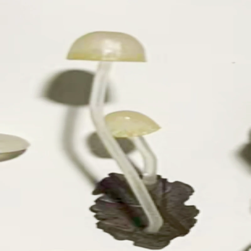 Ikimon 'Glow Mushrooms' Series Gachapon Magnetic Bioluminescent Fungi Decor Re-Release Toy Collectible Action Figure