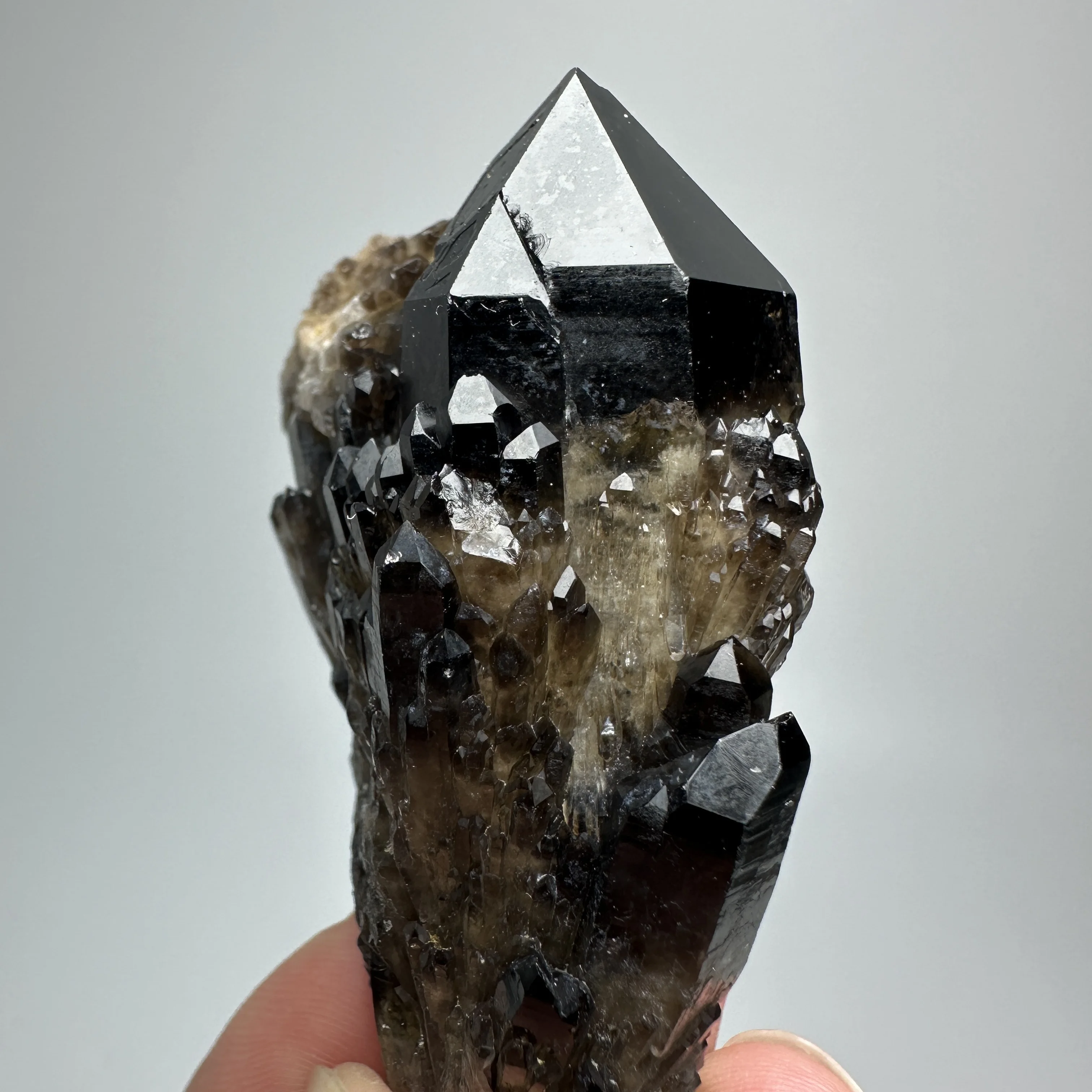 Natural Black Tea Crystal Pineapple Cluster Mineral Specimen Rock Decorative Quartz Healing Stone