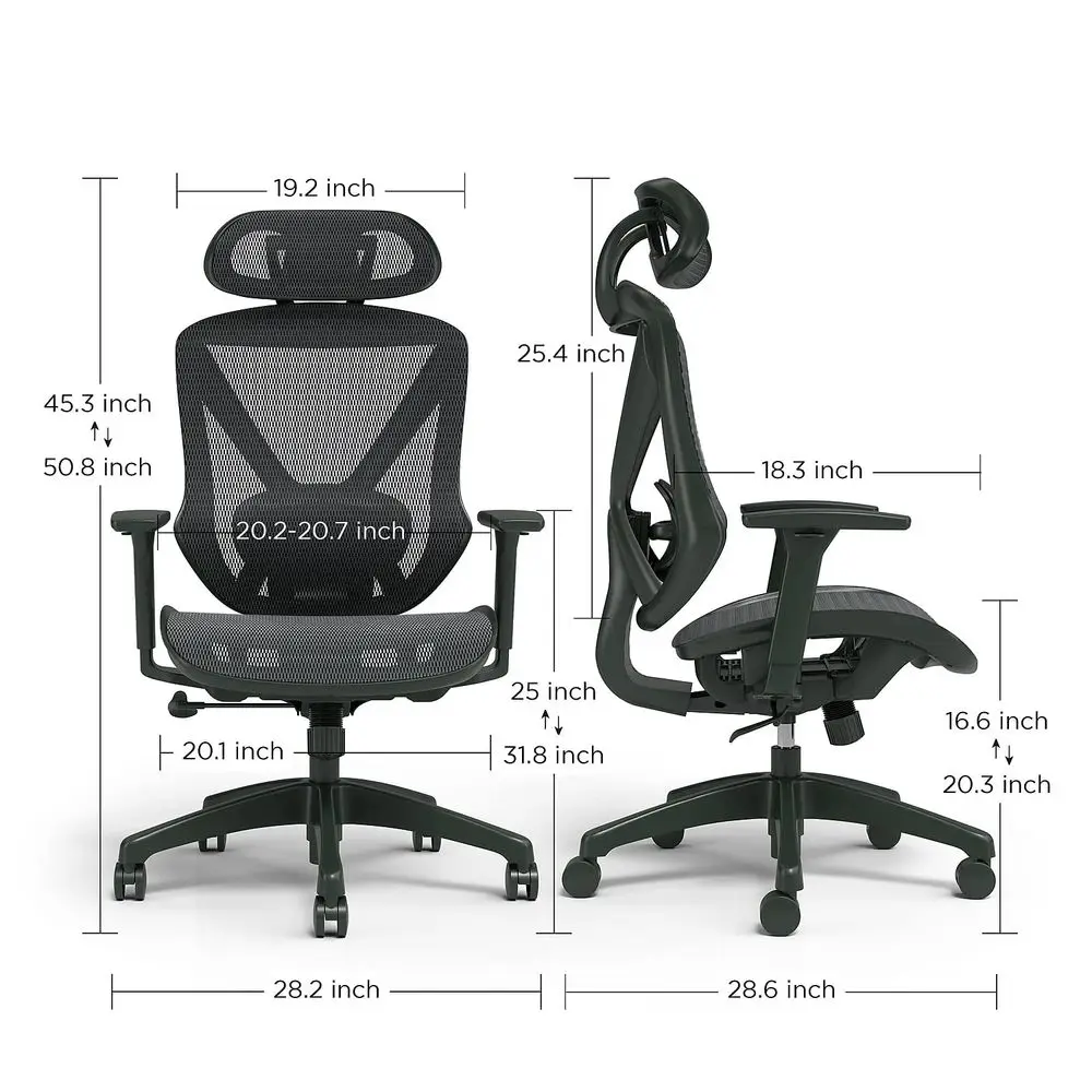 Dexley Ergonomic Task Chair, Mesh, Ergonomic, Lumbar Support, Adjustable Height, Black