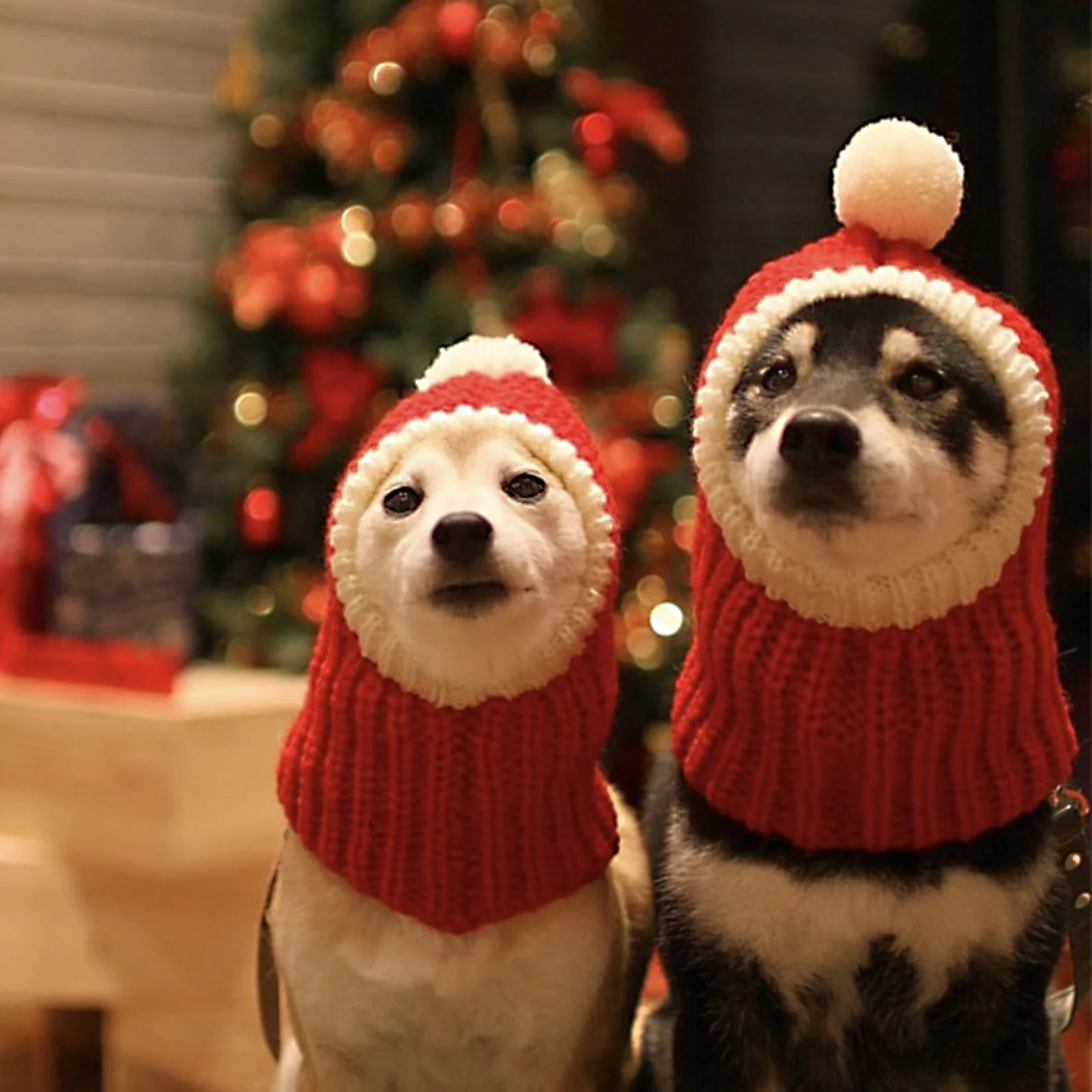 

Pet Woolen Hat Soft Comfortable Christmas Design Dog Puppy Warm Headwear for Daily Wear Outfit