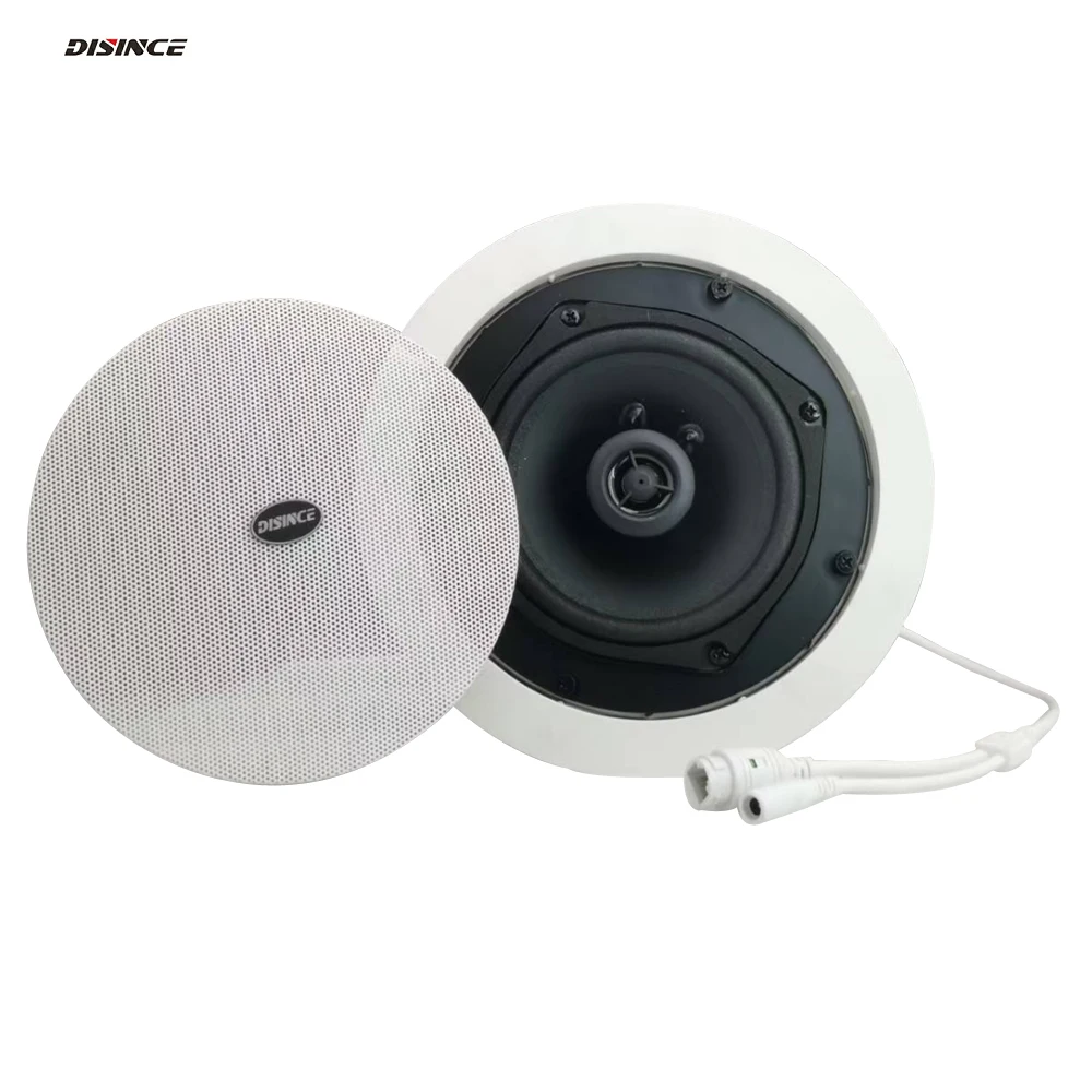 

Потолочный динамик POE SIP 20 Вт с Onvif/RTSP Audio Stream, поддержка кабеля Wi-Fi и Ethernet для системы домашней безопасности