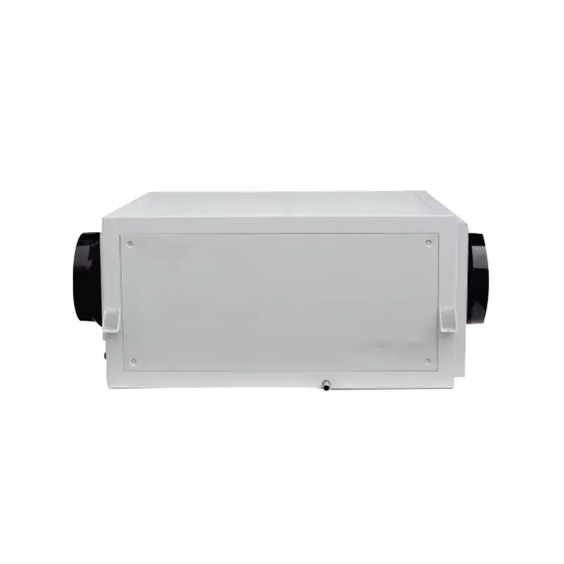 Automatic Defrost Dehumidifier Air Purifier for Indoor Swimming Pool Humidity Control Moisture Removal Home Appliance Smart