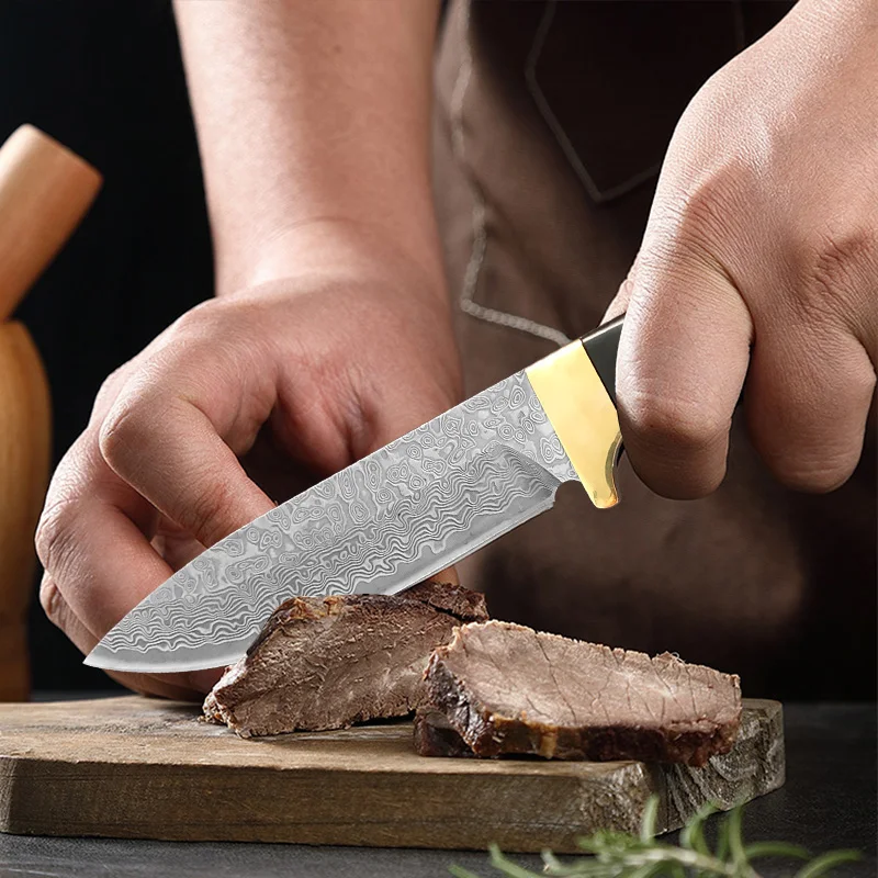 Damascus VG10 Steel Knife wood Handle Fixed blade knife Fruit Knife Sharp Chef Knives Meat Fruits Vegetables BBQ Cooking Knife view 5