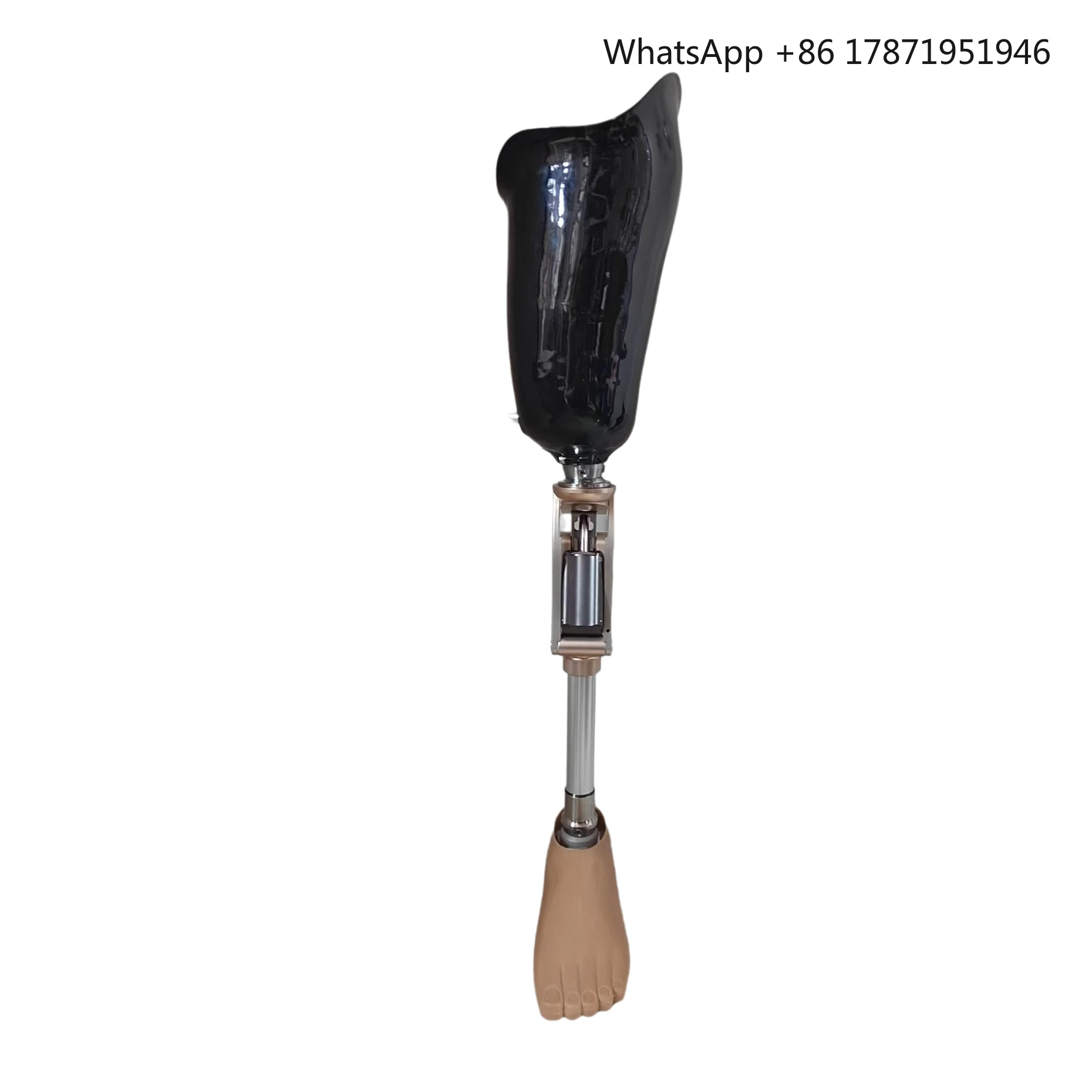 

2024 innovative products High Quality Advanced Prosthetics Artificial Limb Prosthetic Leg for Amputee