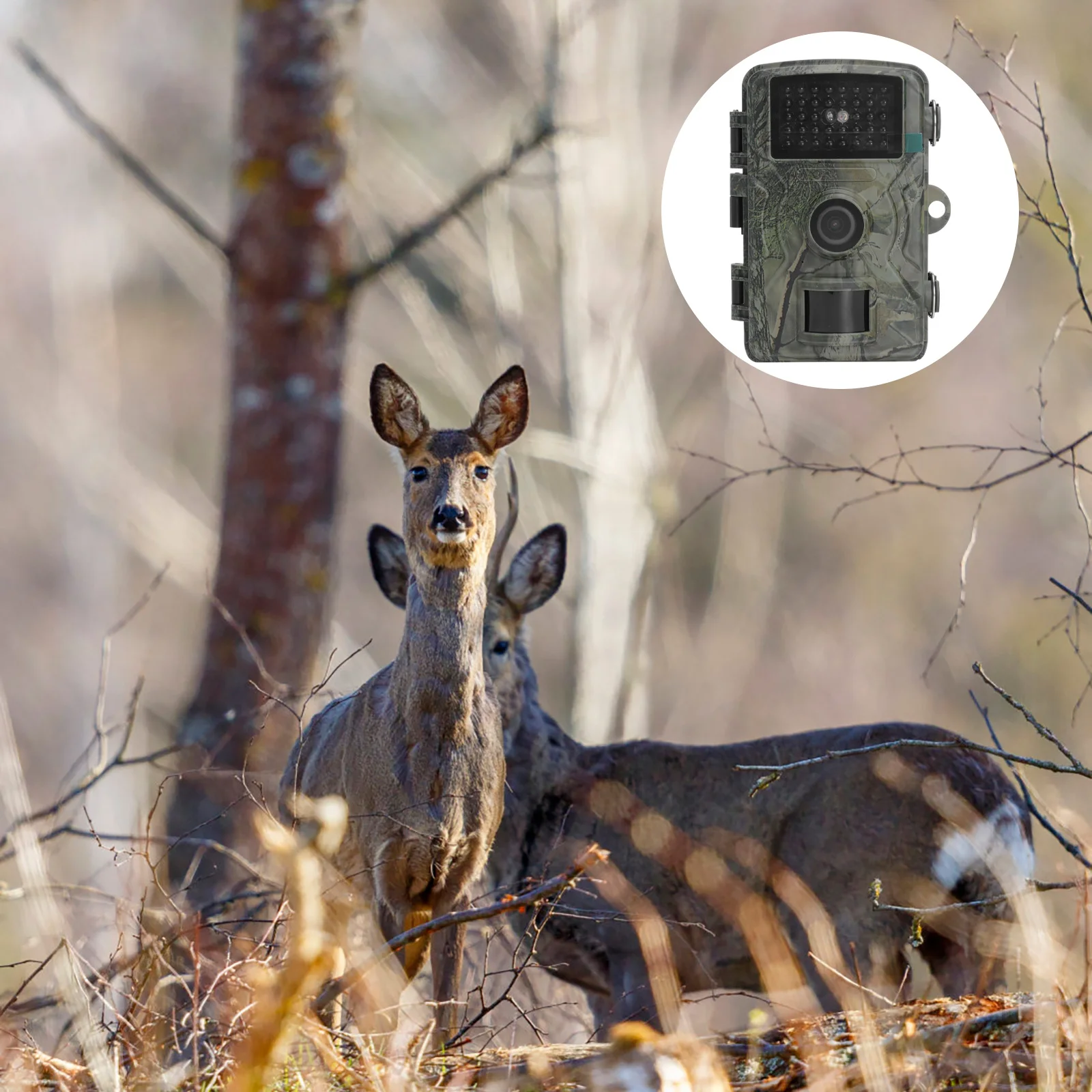 

Night Vision Hunting Camera Outdoor Scouting Wildlife Monitoring Infrared Waterproof HD