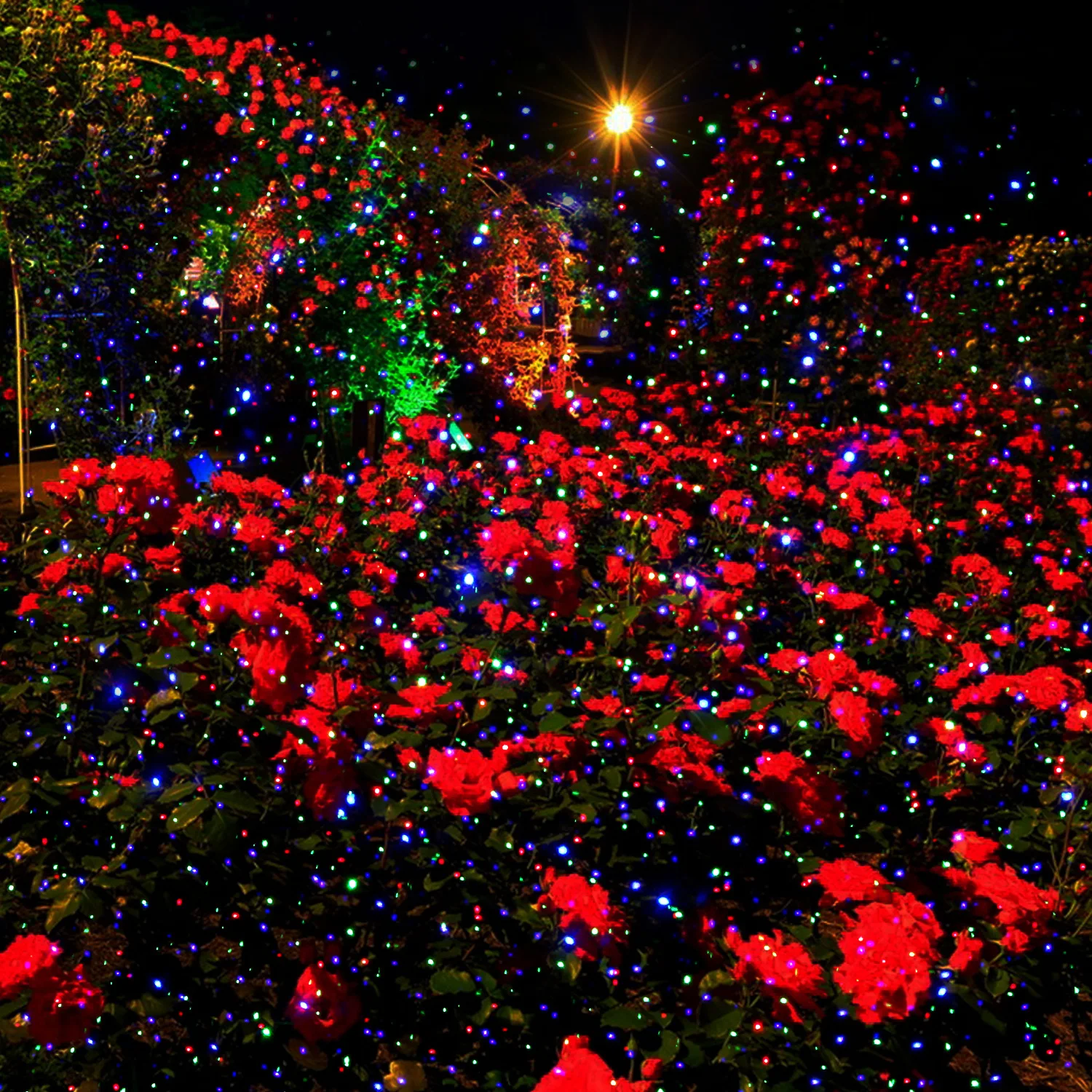 Christmas Starry Laser Projector Lights Outdoor RGB Moving Star Shower Waterproof Garden Holiday Party Decoration with Remote