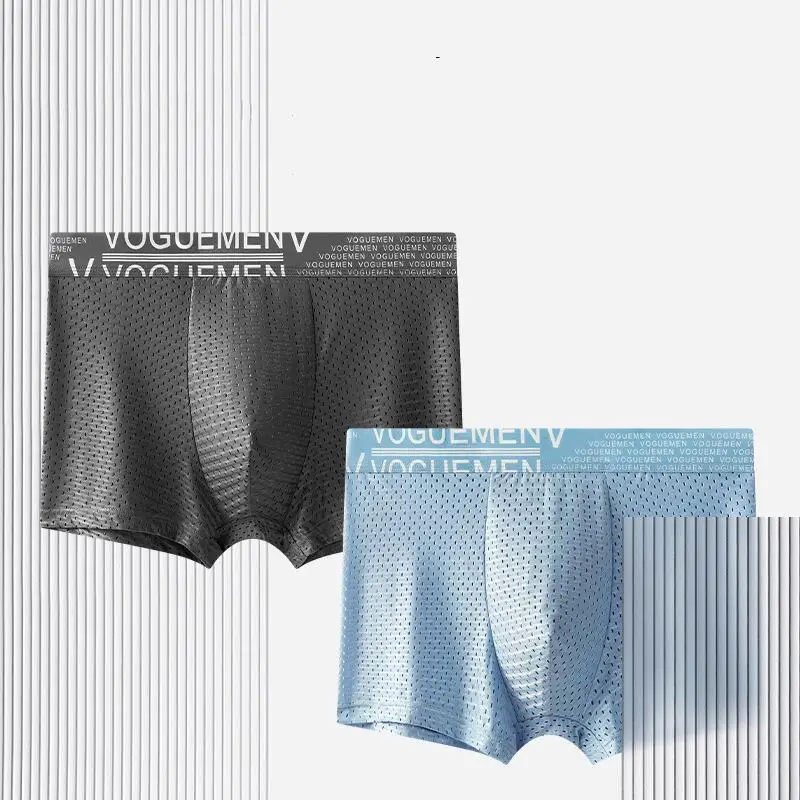 Comfort Ice Silk Mens Boxershorts Breathable Mesh Boyshorts Elastic Waistband Youth Panties Antibacterial 3D-Pouth Male Briefs