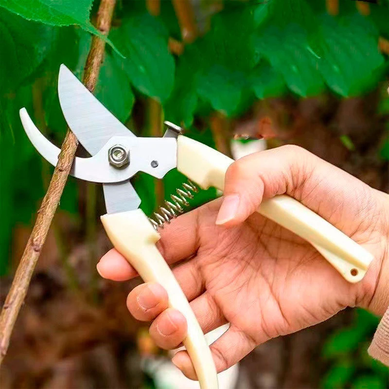 Garden Pruning Scissors Are Special Tools for Pruning Flower Branches and Fruit Trees Saving Effort