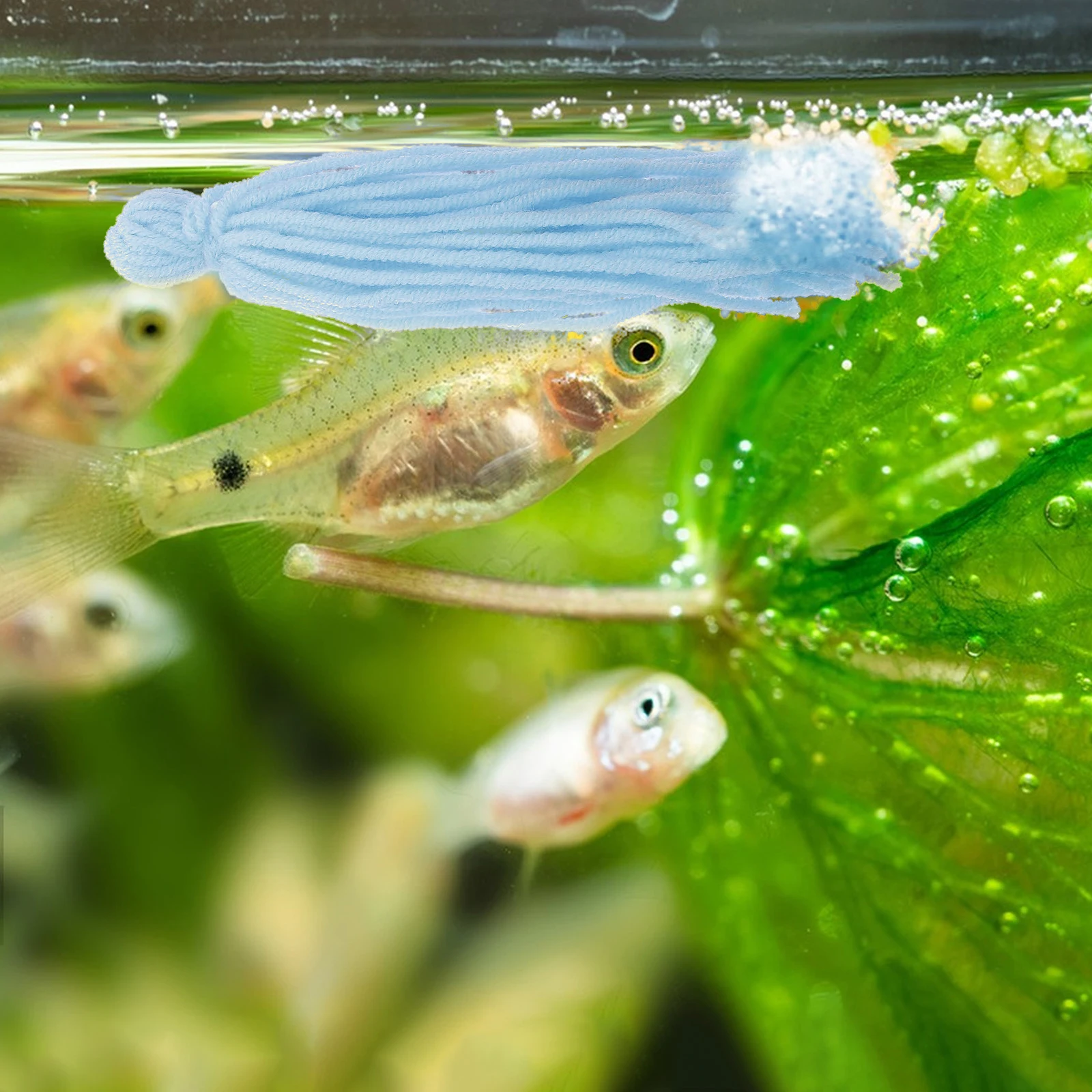 

10 Pcs Spawn Mop Egg Laying Aquarium Equipment Heater Breeding for Fish Tank Yarn Aquariums Accessories Spawning Mops