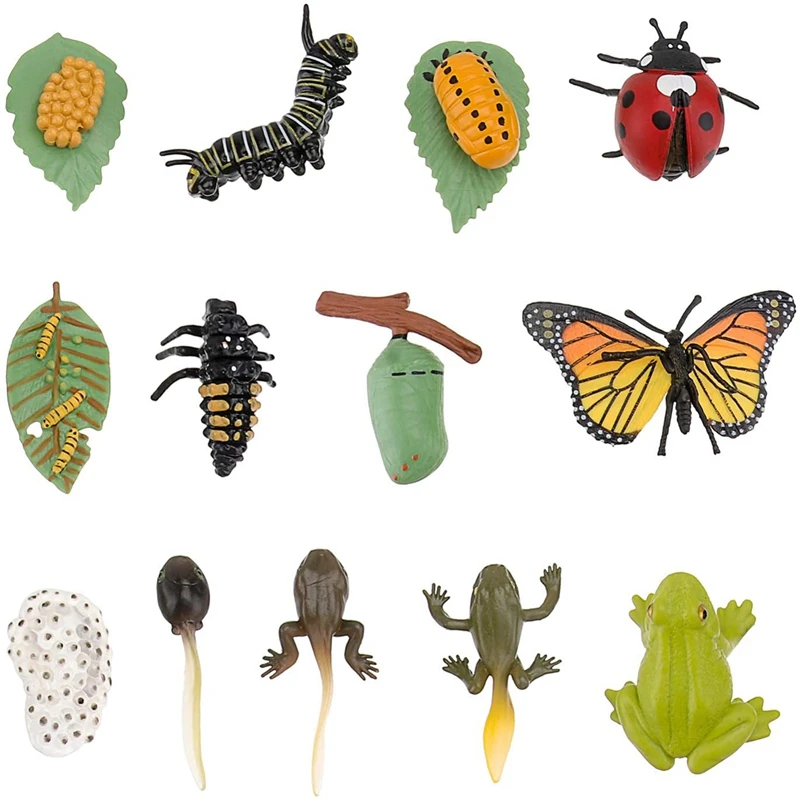 3 Sets Insect Figurines Life Cycle Of Butterfly Frog Ladybug Safariology Growth Cycle Model Education Toy