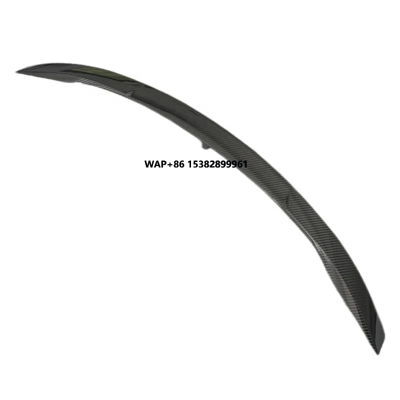 Carbon Fiber Rear S… - image