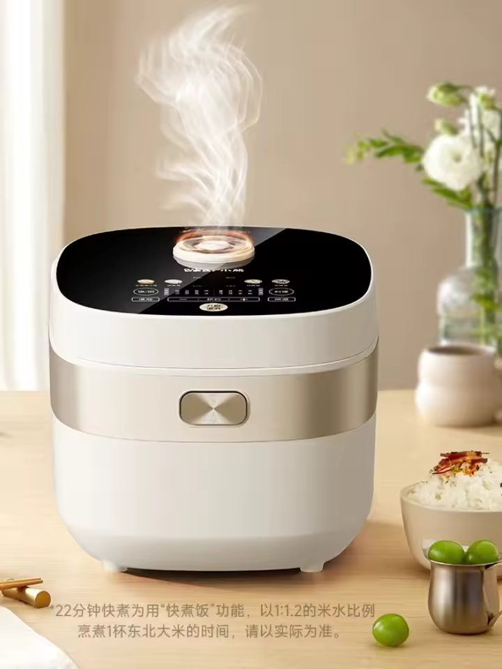 곰 마이크로 압력 밥솥