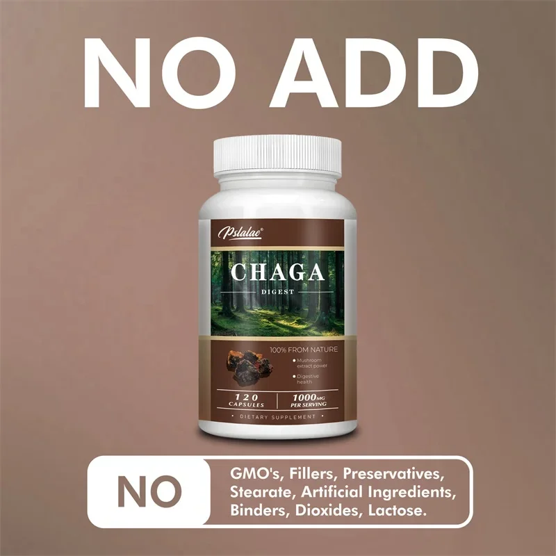 Chaga-capsules - voor de spijsvertering, gezondheid, energie en immuunondersteuning - niet-GMO