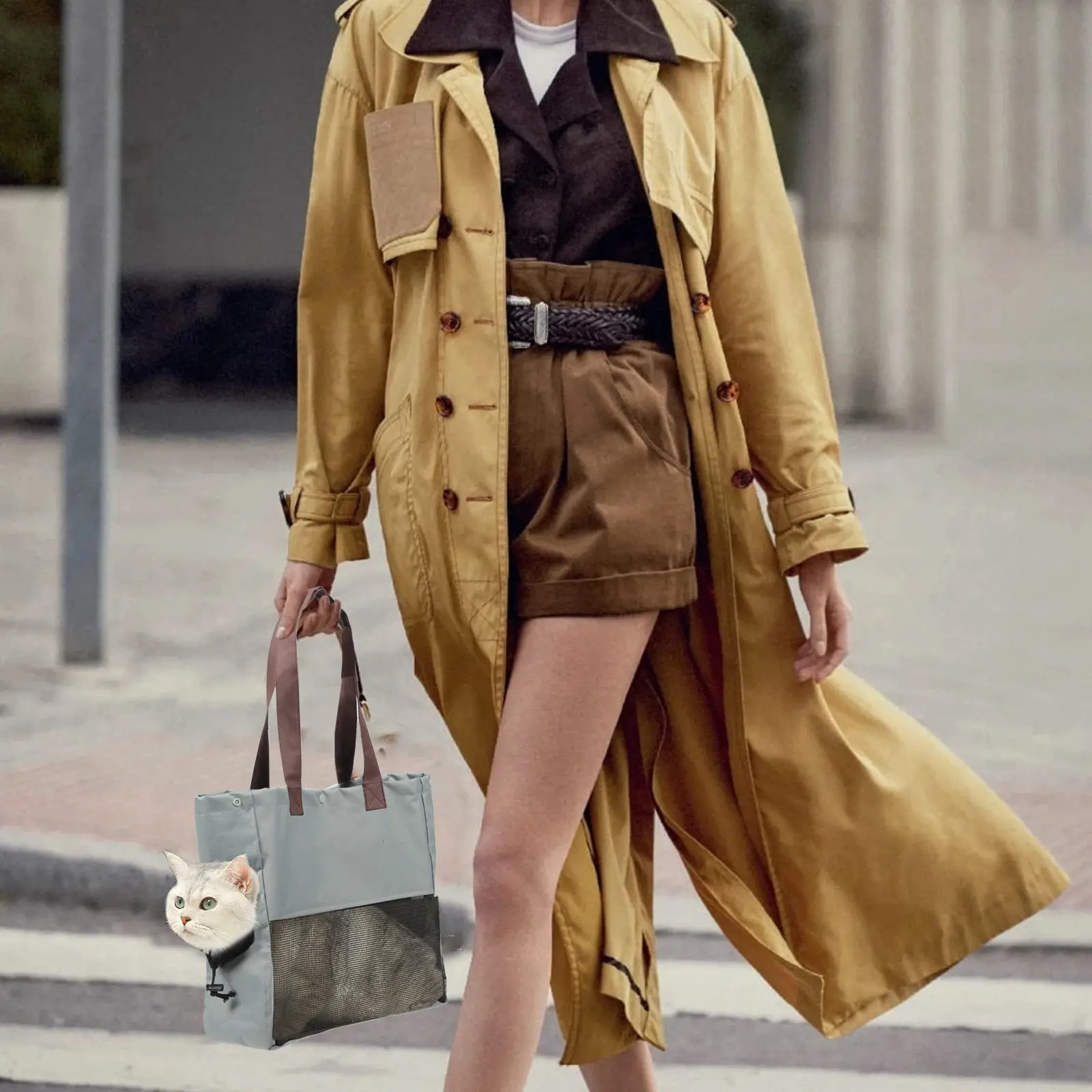 

Складная переноска для животных с дышащими сетчатыми боковыми панелями для маленьких кошек, щенков, кроликов, для путешествий на природе, портативная, удобная