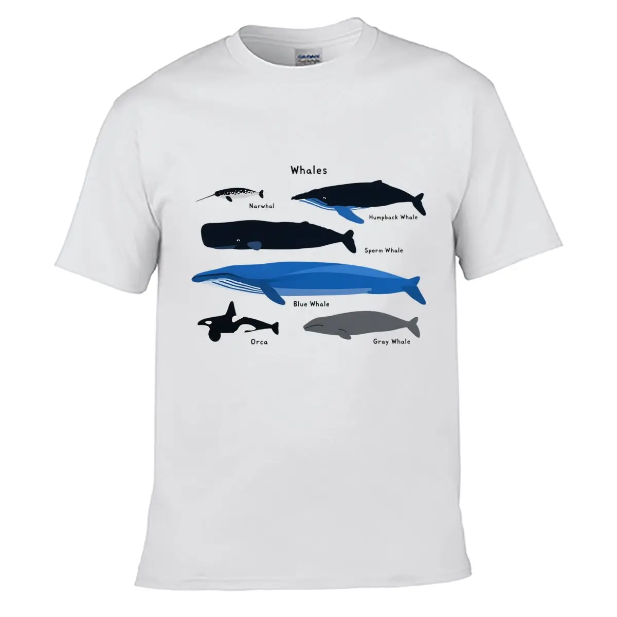 Whales Narwhal Humpback Whale Sperm Whale Blue Whale Orca Gray Whale Loose T-shirt Casual Tee