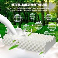 Thailand Natural Massage Latex Pillow Student Adult High and Low Pillow Massage Granule Pillow Protect Cervical