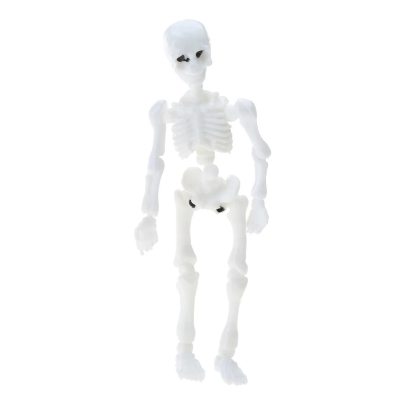 Q0KB Mainan Figur Mini Seluruh Tubuh Tengkorak Model Manusia Kerangka Mr. Bones Dapat Digerakkan Halloween