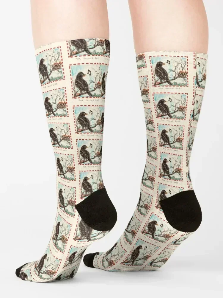 Four Calling Birds Socks compression funny gift colored bright garter Socks Female Men's