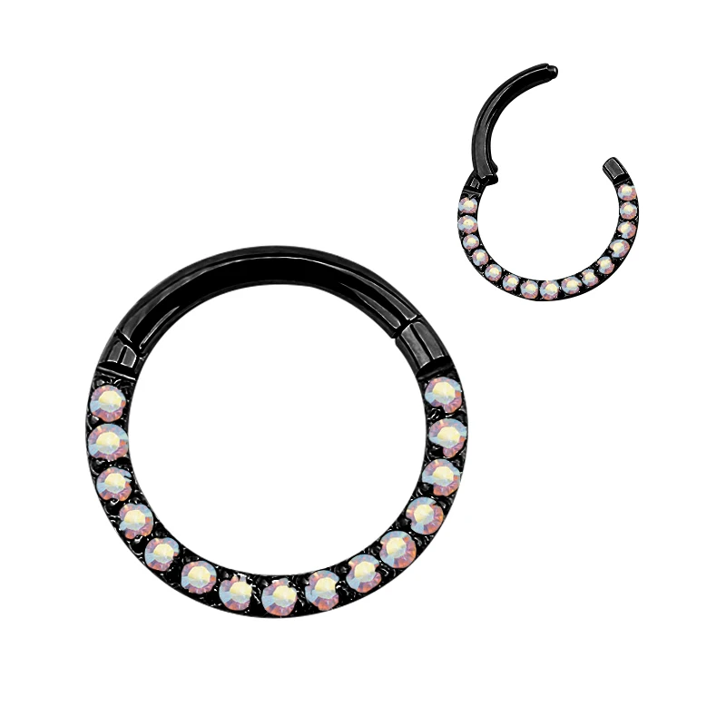 G23 Titanium Hinged Segment Hoop Nose Ring Earring
