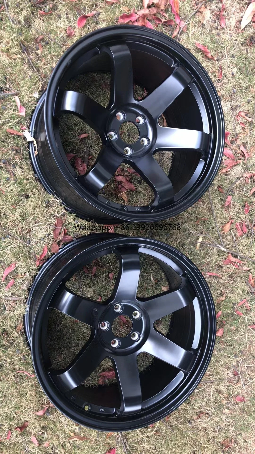 High Gloss Black / …